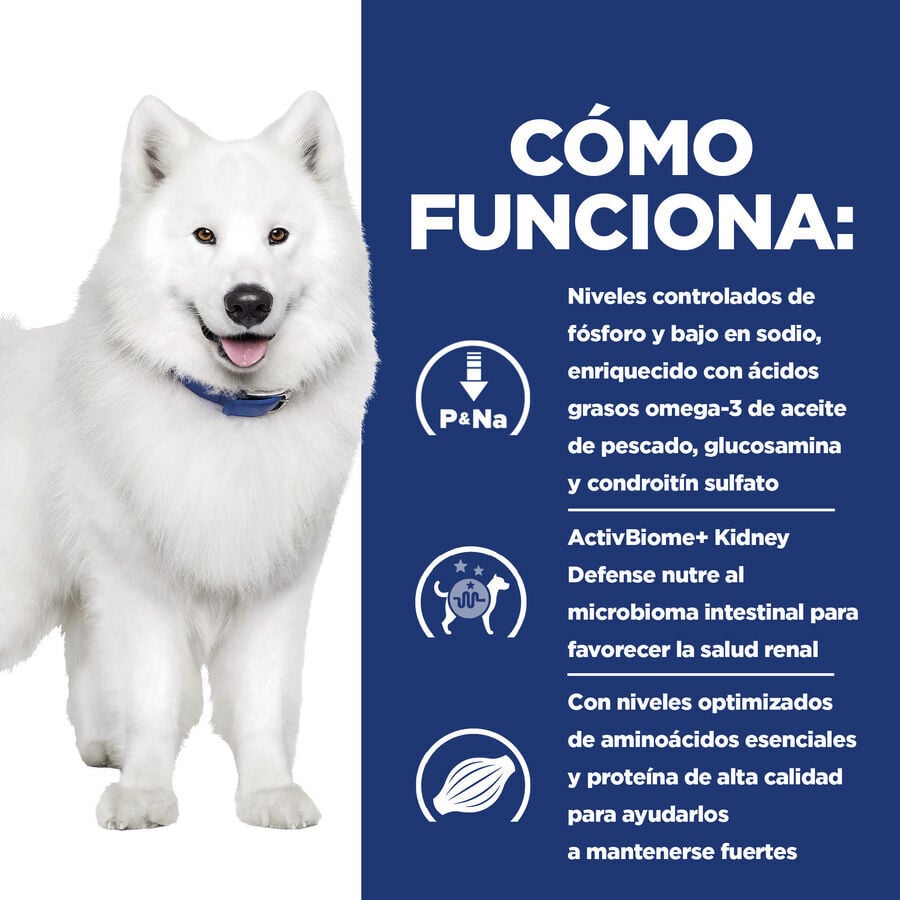 12 kg Hill's Prescription Diet kidney + Mobility pienso para perros, , large indicador imagen numero 3